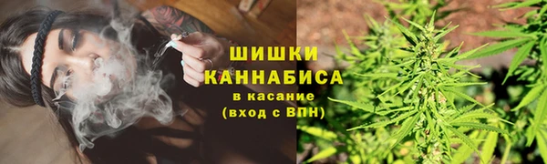 винт Инсар