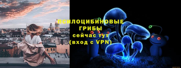 дживик Инта