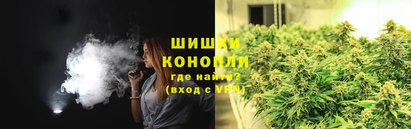 винт Инсар