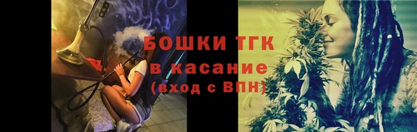 дживик Инта