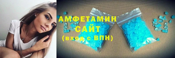 дживик Инта