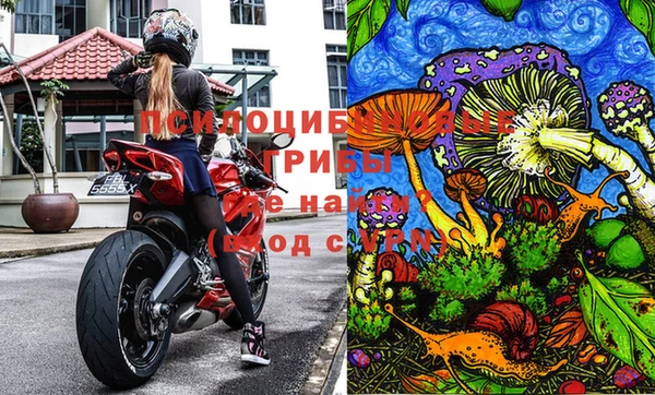 винт Инсар