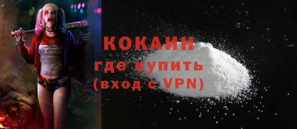 винт Инсар