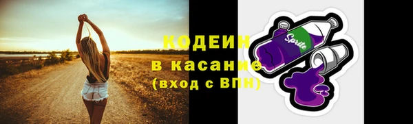дживик Инта
