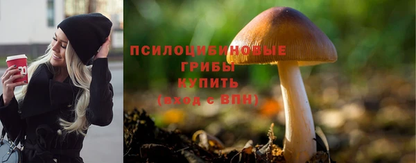 винт Инсар