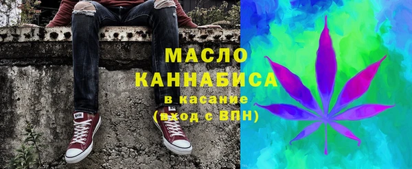 дживик Инта