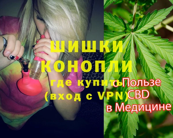 дживик Инта