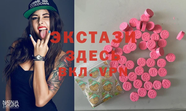 дживик Инта