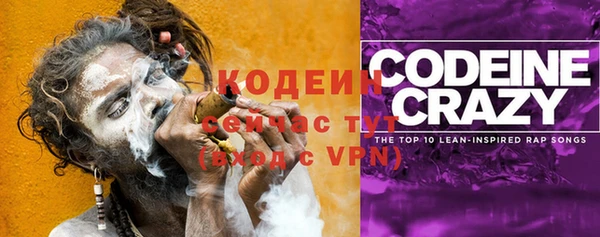 крисы Иннополис