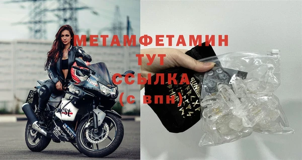 дживик Инта