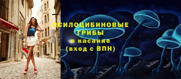винт Инсар