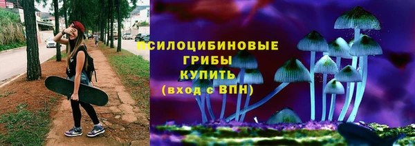 крисы Иннополис