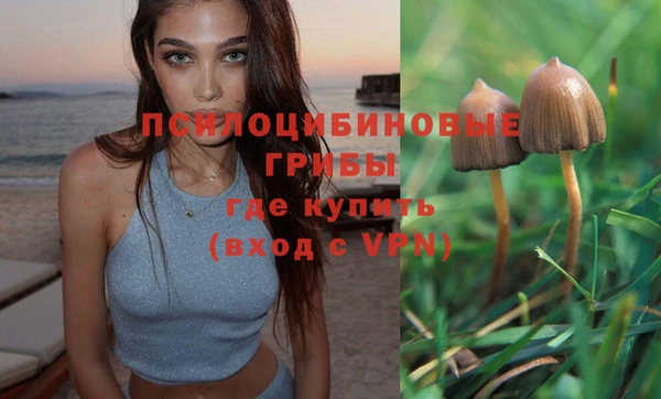 крисы Иннополис
