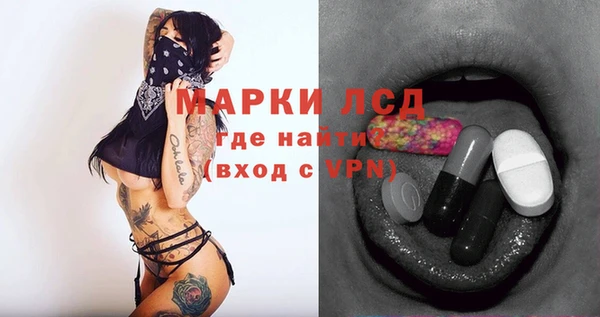 дживик Инта