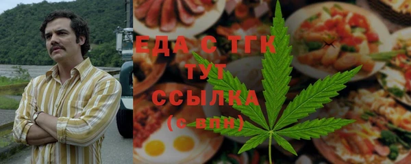 дживик Инта
